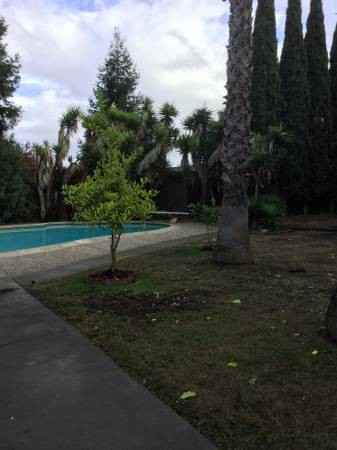 5299 Fell Ave - Photo 2 of 15