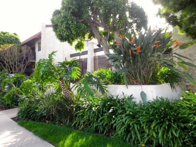 Woodman Ave. & Addison St. - Photo 2 of 21