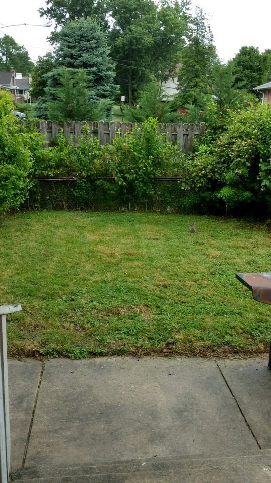 3015 W 2nd St - Photo 3 of 8