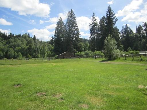 138 W Bambi Farms Rd - Photo 2 of 3