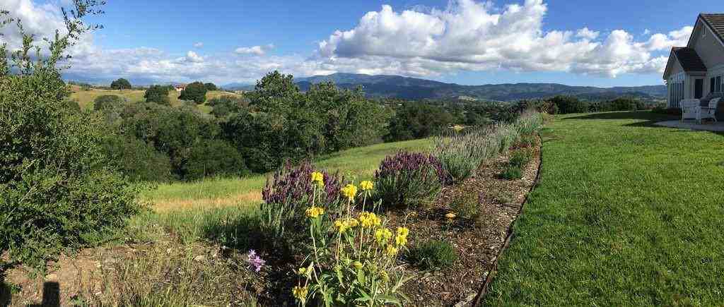 2536 Elk Grove Rd - Photo 2 of 24