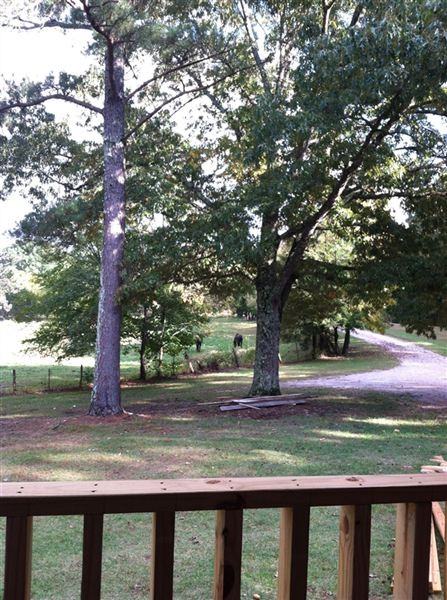 198 Cemetery Ln - Photo 2 of 6