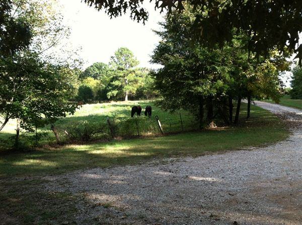 198 Cemetery Ln - Photo 3 of 6