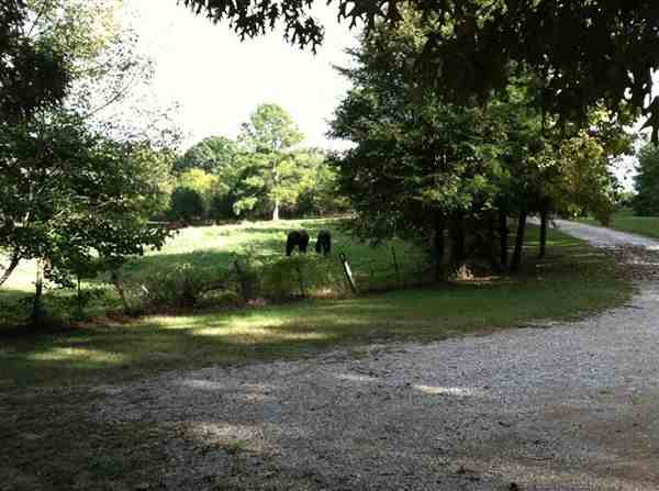 204 Cemetery Ln - Photo 3 of 12