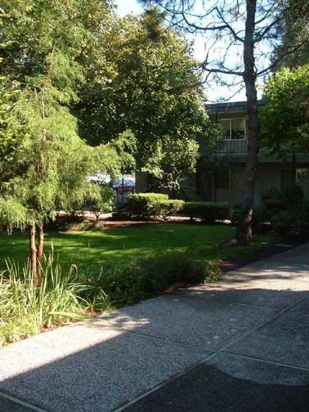 Jade West Apartments - Photo 3 of 10