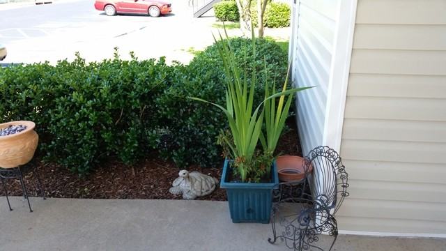 Pine Trace Apartments - Photo 3 of 22