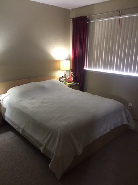 550 Pistol Creek Court - Photo 5 of 10