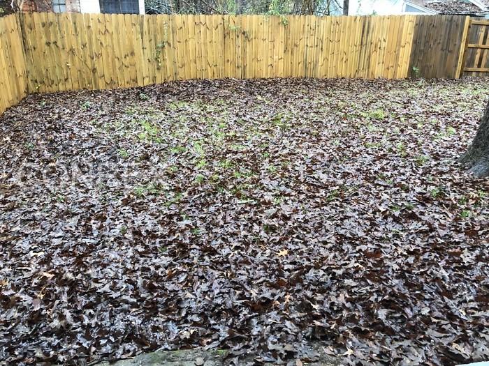 103 Sandra Cove - Photo 3 of 11