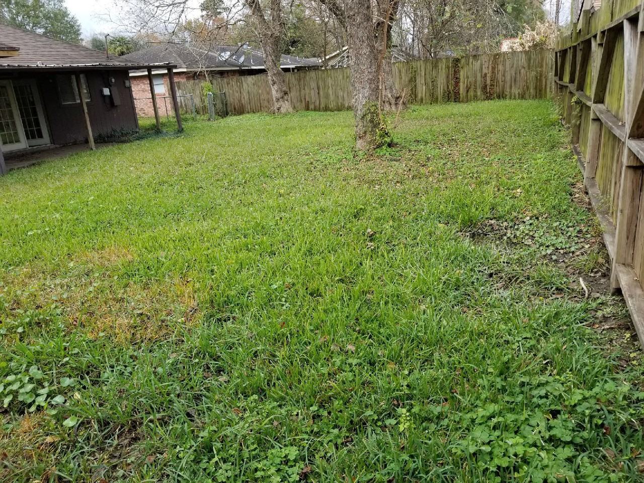 169 Rosine St - Photo 3 of 11