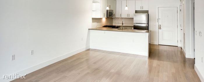 Outstanding 1 Bedroom Apt. in Luxury Building W/D InUnit Rooftop