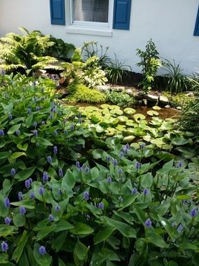 2261 Compass Rd - Photo 3 of 16