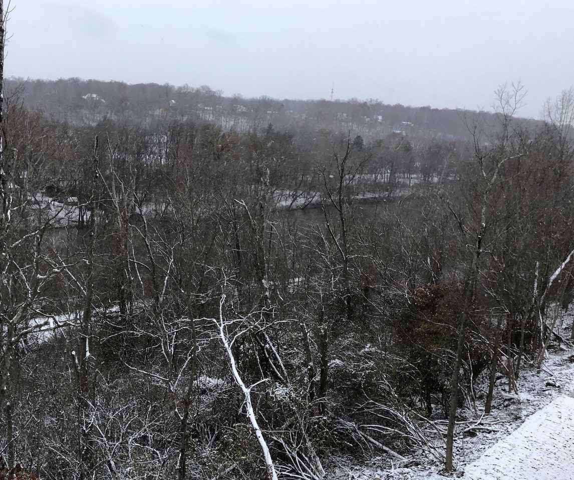 River Ridge Apartments - Photo 3 of 42