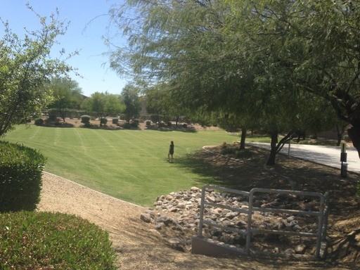 8144 W Zoe Ella Way - Photo 2 of 19