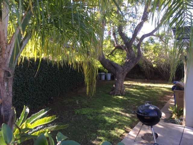 4528 Auhay Dr - Photo 2 of 18