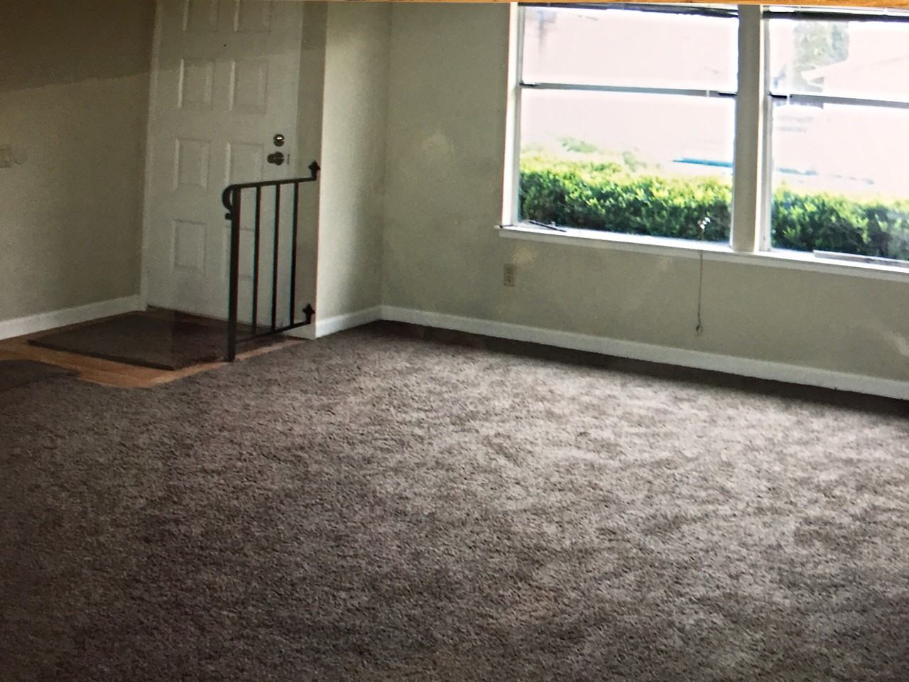 1557 Klamath River Dr - Photo 3 of 9