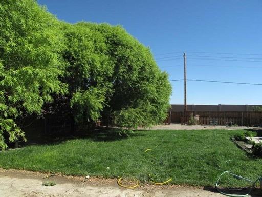 387 Bens Way - Photo 2 of 7