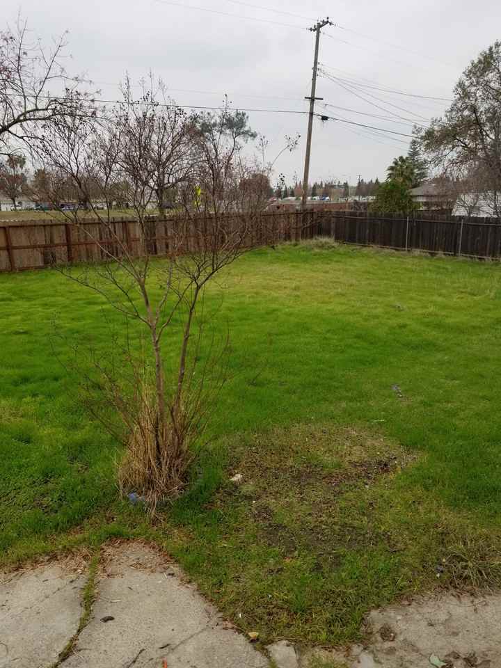 3901 Palmetto St - Photo 3 of 11