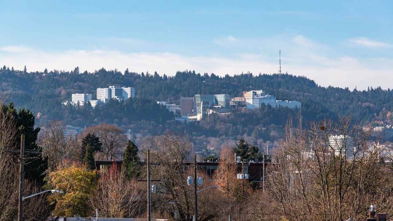 The Margot - Photo 3 of 32