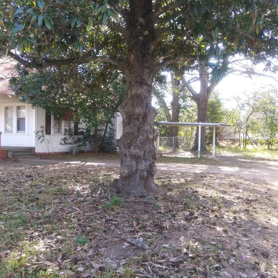 204 Ash St - Photo 3 of 42