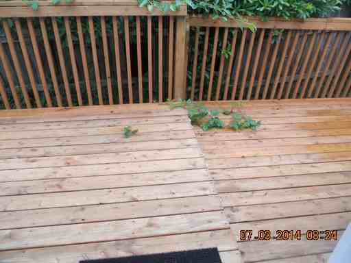 460 Adus Ct - Photo 3 of 17