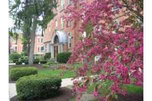 Skidmore Apartments - Photo 3 of 16