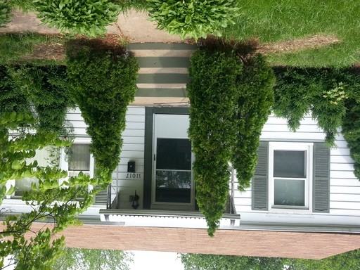 11017 St Pius Ln - Photo 2 of 11