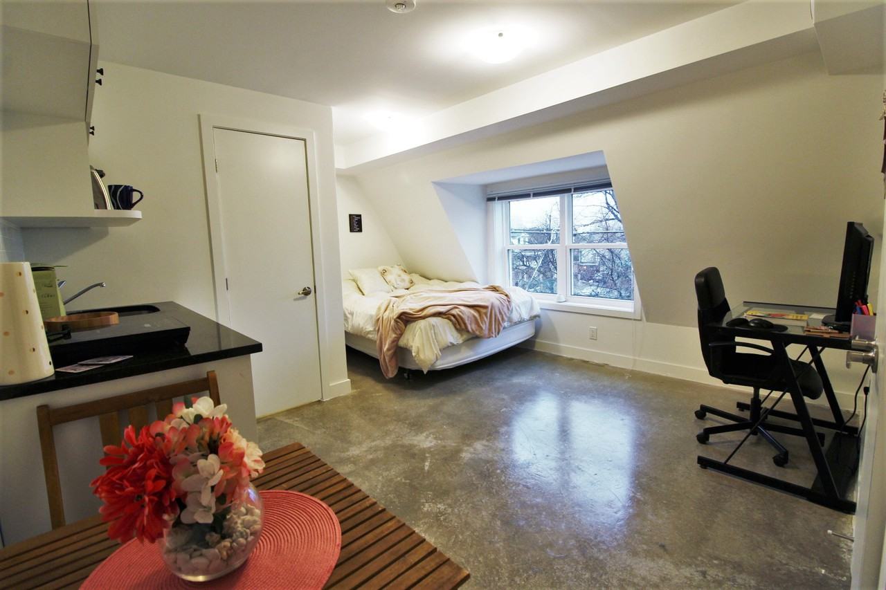 442 Nelson Street 1, Ottawa, ON K1N 7S8 Studio Apartment for Rent