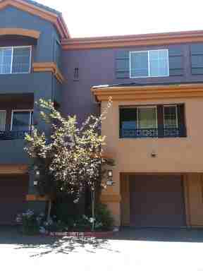 2001 Club Center Dr #7106