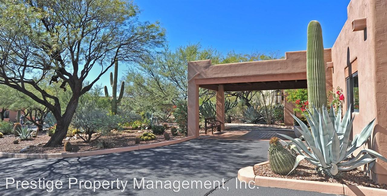 4071 Cam Montecillo - Photo 3 of 23