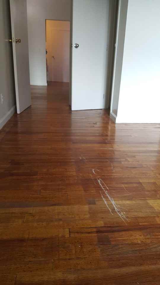 2543 Church Avenue #2F - Photo 4 of 9