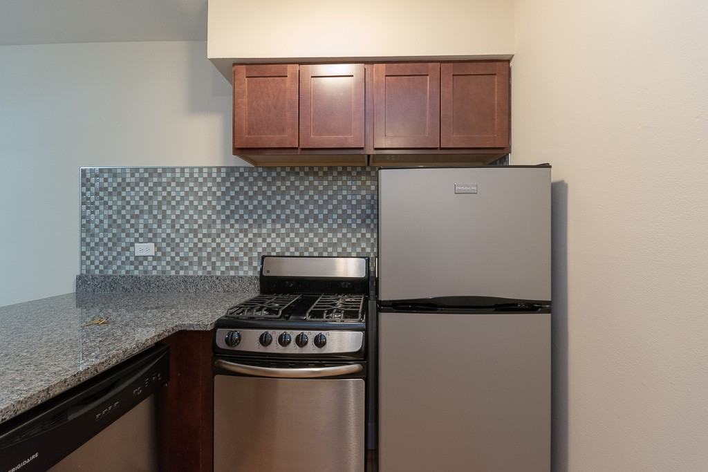 445 W Barry Ave #223 - Photo 3 of 14