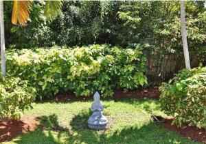 2608 Hibiscus Pl - Photo 3 of 10