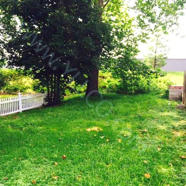 1027 W Jackson St - Photo 2 of 9