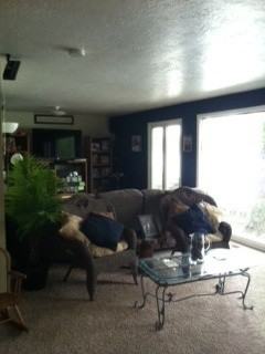 379 Lakeshore Dr - Photo 3 of 14