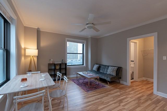 18 East Elm Street #1017