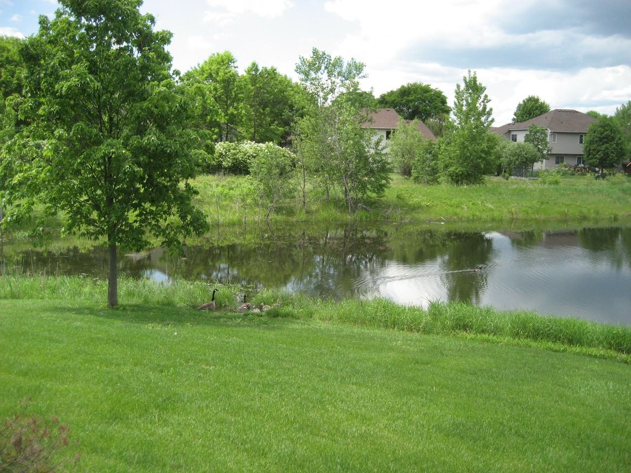 15864 Vale St NW - Photo 2 of 16