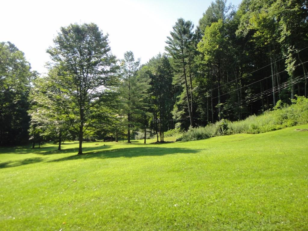 519 Laurel Ln - Photo 3 of 38