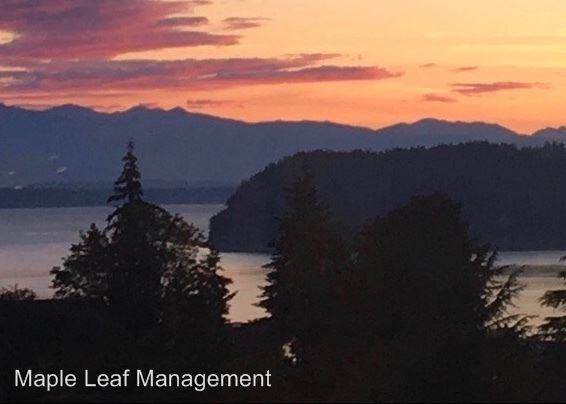 10317 Kay Way - Photo 2 of 20