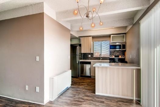 Liv on Steele - Photo 6 of 56