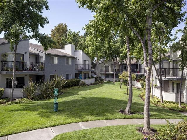 935 Willowleaf Drive - Photo 2 of 21