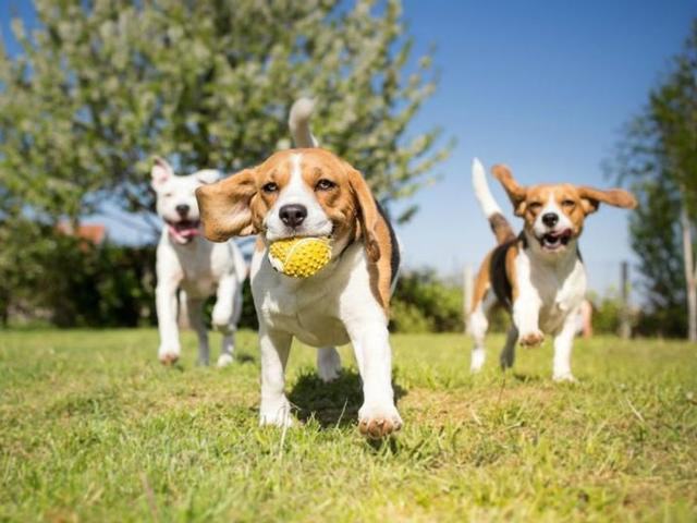 7711 Southwest Capitol Highway - Photo 3 of 49