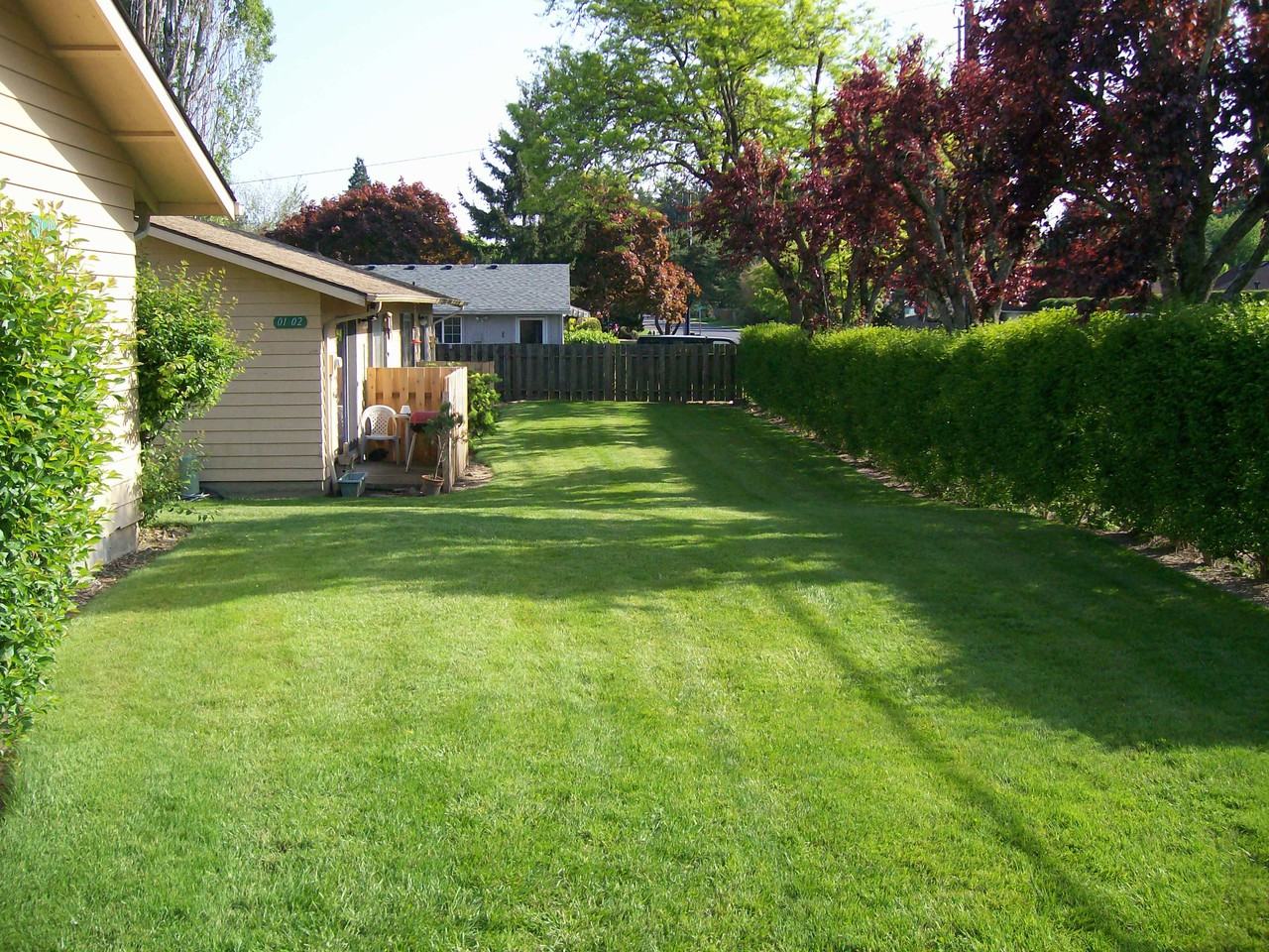 The Reef Apartments - Photo 2 of 6