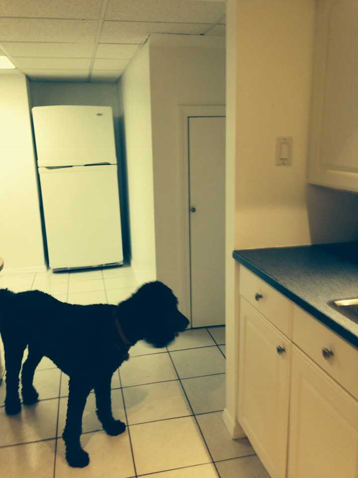 2 W Farms Ln - Photo 3 of 12