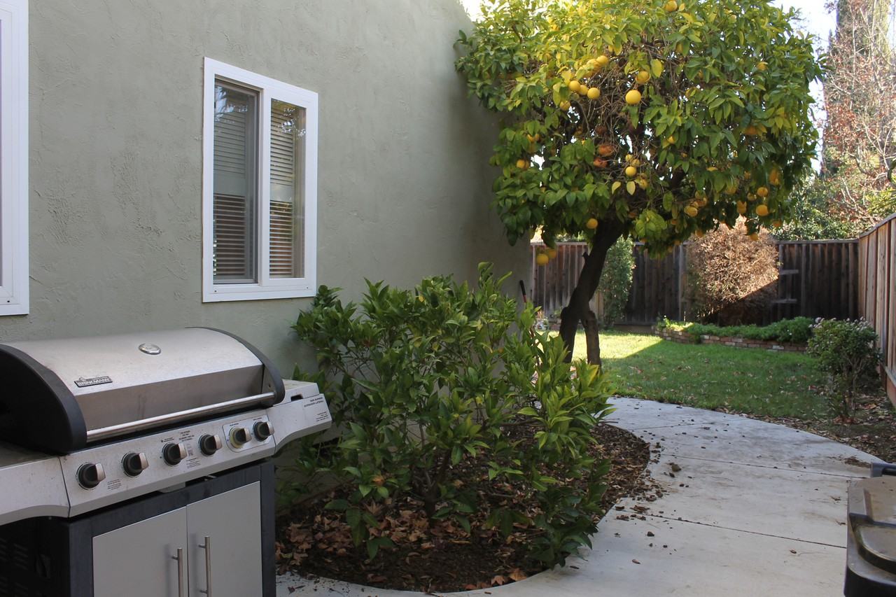 1508 Condor Way - Photo 2 of 15