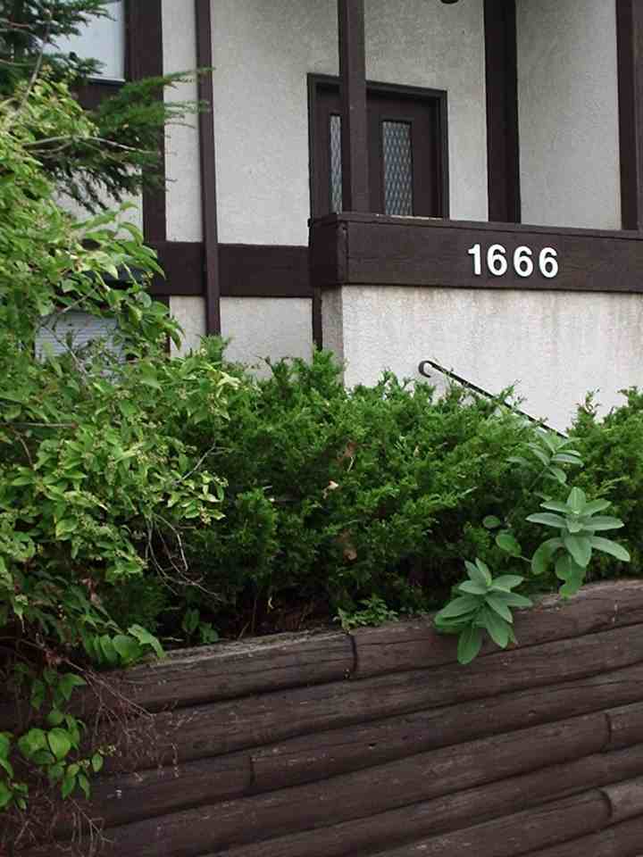 1664 Natchez Ave S #66 - Photo 3 of 24