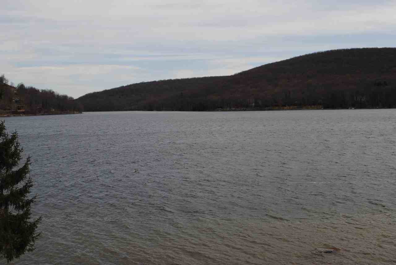 20716 Garrett Hwy - Photo 3 of 18