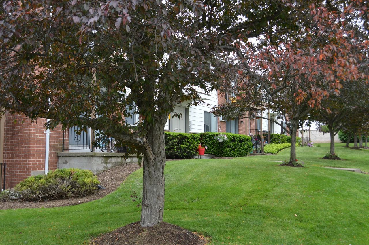 7554 Victor Mendon Rd - Photo 2 of 33