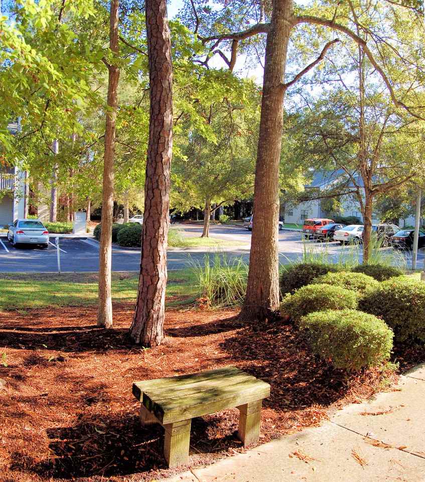 603 Montclair Dr - Photo 4 of 15