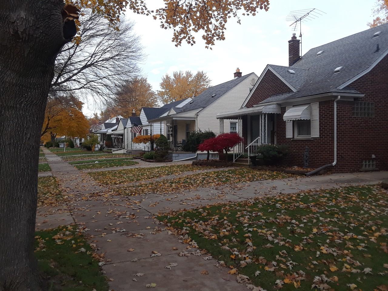 3655 Alice St - Photo 2 of 25