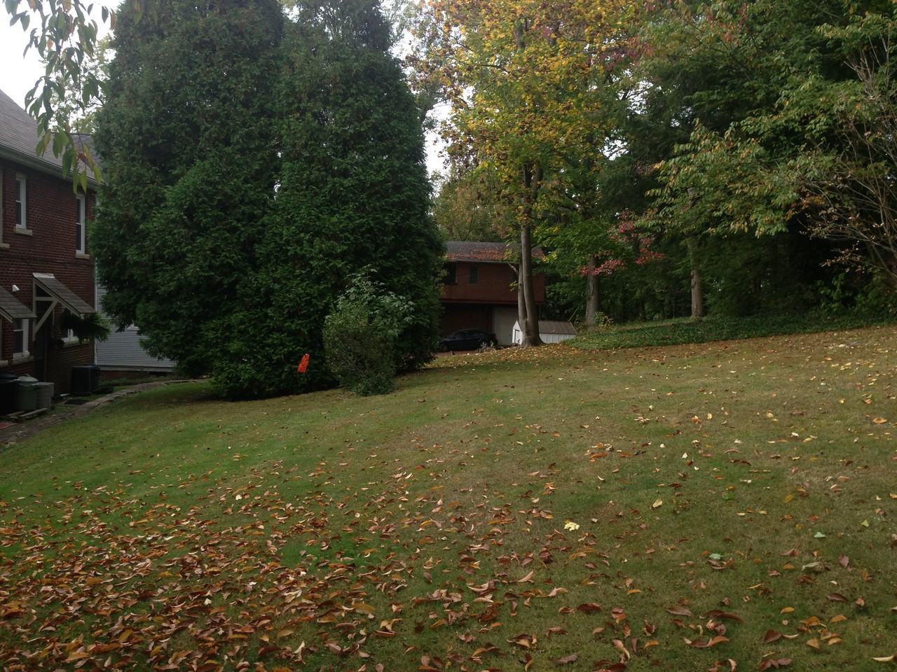 None Beech Ave - Photo 5 of 23